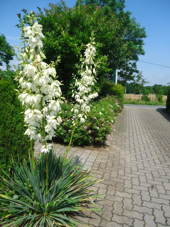 Das Fritz Hotel Schwerin Schoene Lage Im Gruenen Mit Regionaler Kueche Kostenfreien Parkplaetzen Und E Ladestation Exteriör bild